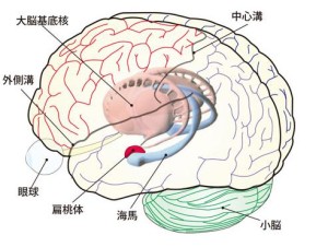 コラム小出(3)-図1