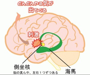 コラム小出(3)-図2